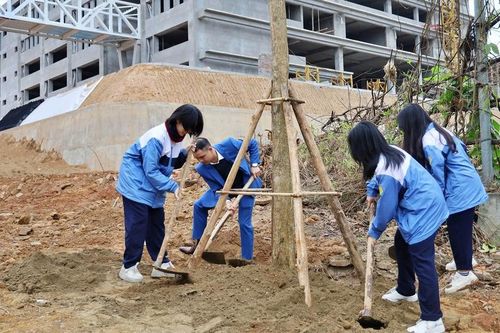 Lào Cai phát động tết trồng cây, trồng rừng tại trường học