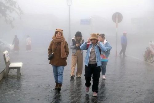 Lập xuân 2025 trong rét buốt do trùng với đợt gió mùa đông bắc