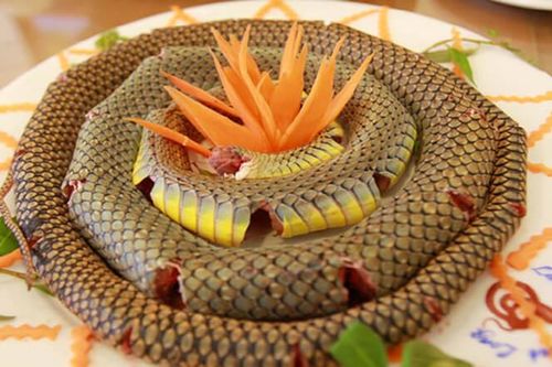 Năm Tỵ nói về tác dụng chữa bệnh của con rắn