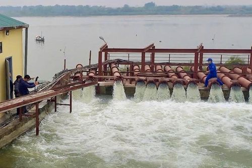 Bộ NN&PTNT đốc thúc 11 tỉnh thành tập trung lấy nước gieo cấy vụ Xuân 2025