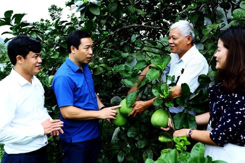 Nâng cao năng lực, sức chiến đấu tổ chức đảng