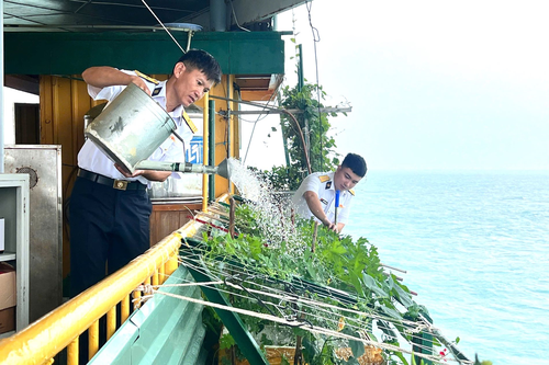 Khu vườn diệu kỳ của bộ đội nhà giàn
