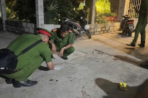 Em vợ sát hại anh rể