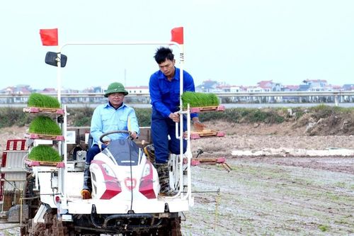 Bí thư, Chủ tịch Vĩnh Phúc xuống đồng cấy lúa, động viên nông dân sản xuất