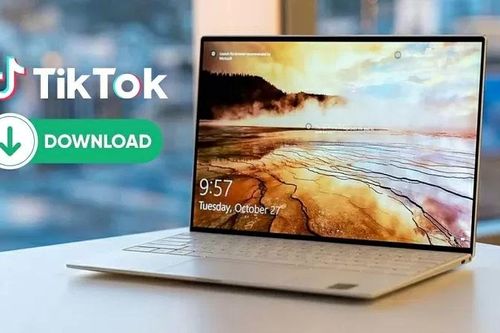 Tải video TikTok không logo về máy tính với vài thao tác đơn giản