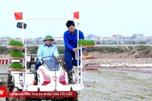 Lãnh đạo tỉnh Vĩnh Phúc xuống đồng động viên nông dân sản xuất