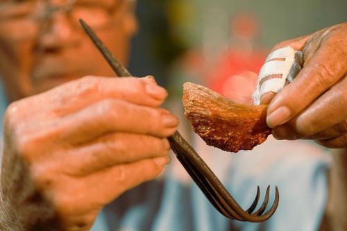 Rạng danh nghề yến Khánh Hòa
