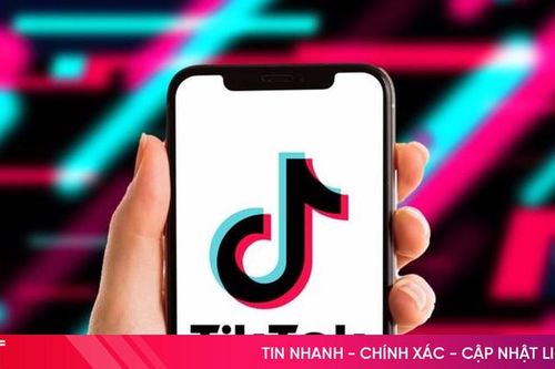 Cách tải video Tiktok không logo về máy tính