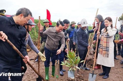 Bộ trưởng Đỗ Đức Duy: Nhân rộng 'lá phổi' ven biển, tạo sinh kế bền vững cho người dân