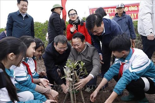 Chung tay bảo vệ, phát triển rừng, bảo tồn thiên nhiên và đa dạng sinh học