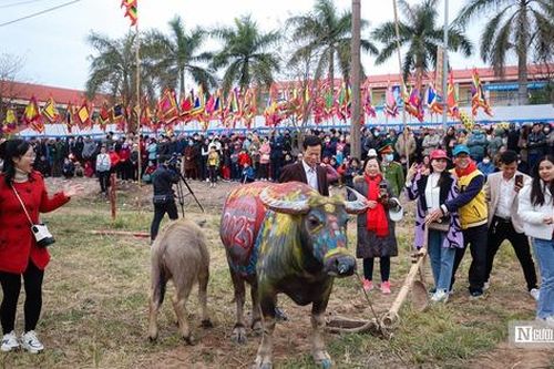Người dân thích thú chụp ảnh, chiêm ngưỡng 'lão' trâu tại Lễ Tịch điền Đọi Sơn