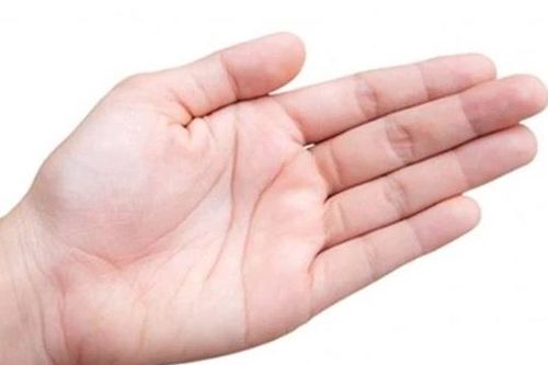 4 đặc điểm ở lòng bàn tay báo hiệu vận số giàu sang suốt đời, tài lộc hanh thông, đặc biệt là số 2