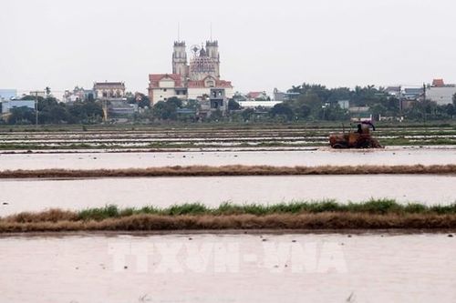 Trung du và Đồng bằng Bắc Bộ chuẩn bị lấy nước cho gieo cấy vụ Đông Xuân đợt 2