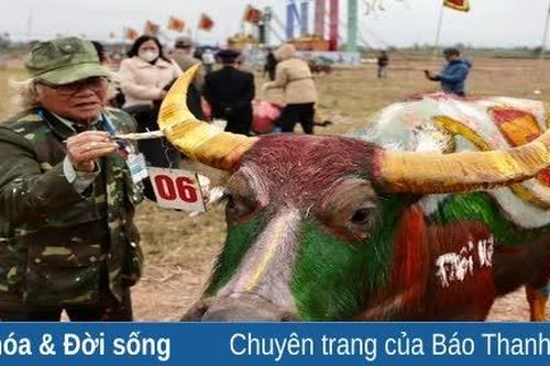 Hội Tịch điền Đọi Sơn 2025: Khai Xuân với những tác phẩm trang trí trâu độc lạ