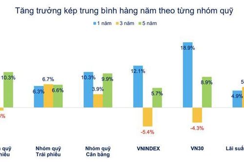Bị rút ròng kỷ lục trong năm 2024, nhiều quỹ cổ phiếu hiệu suất vẫn tăng gấp đôi, gấp ba VN-Index