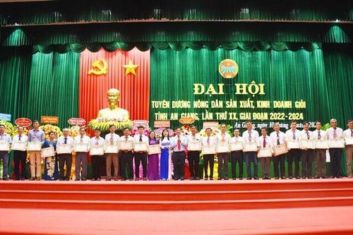 Nông dân An Giang hăng hái sản xuất - kinh doanh giỏi