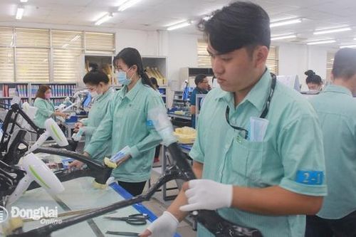 Dự báo nhu cầu tuyển dụng lao động năm 2025 tại Đồng Nai là trên 75 ngàn người