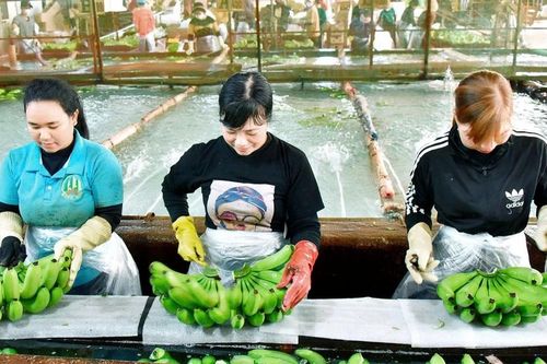 Người lao động hối hả quay lại làm việc
