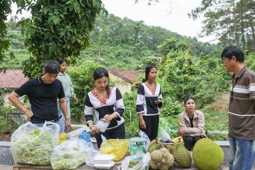 Tập trung hình thành vùng chuyên canh