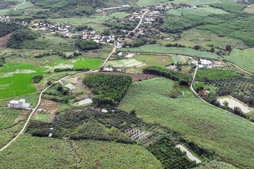 Năm 2024, toàn tỉnh chuyển đổi hơn 800ha cây trồng