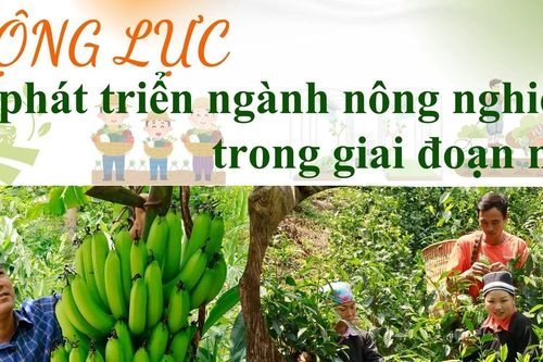 Động lực phát triển ngành nông nghiệp trong giai đoạn mới