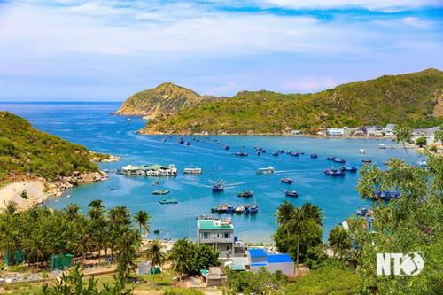 'Trải thảm đỏ' mời gọi nhà đầu tư