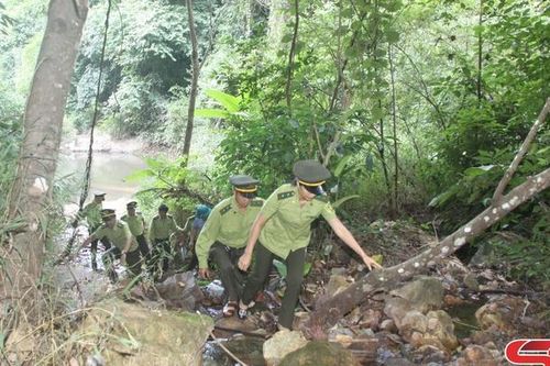 Gắn lợi ích của nhân dân với bảo vệ và phát triển rừng