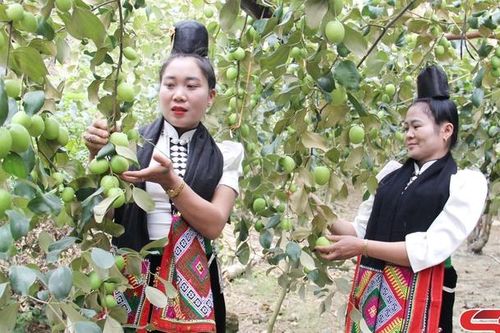 Đa dạng sản phẩm du lịch