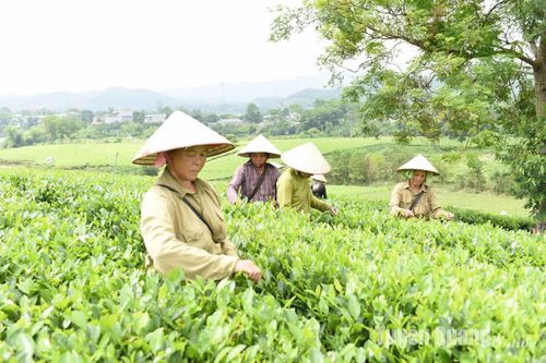 Đảng cho ta mùa xuân