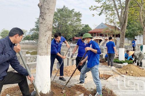 Giữ nét đẹp của Tết trồng cây