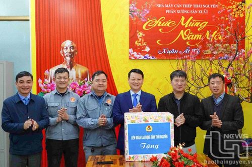 Liên đoàn Lao động tỉnh thăm, tặng quà doanh nghiệp, người lao động