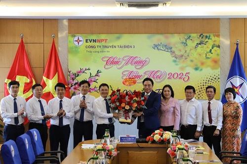 Truyền tải điện 3 ra quân đầu Xuân Ất Tỵ