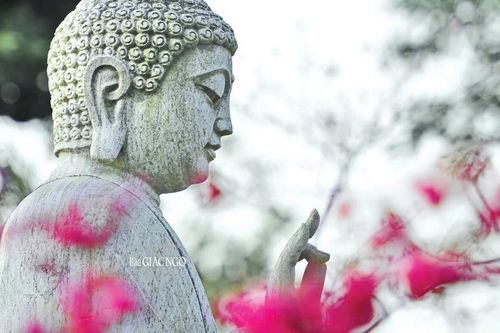 Những giá trị vượt thời gian