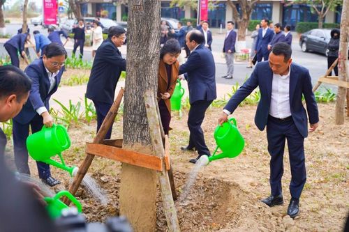 Viglacera khai Xuân và Tết trồng cây 2025