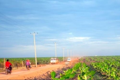 HAGL Agrico lỗ trước thuế hơn 1.200 tỷ đồng năm 2024