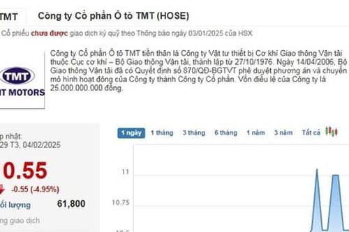 Đối thủ của VinFast tại Việt Nam lỗ kỷ lục, cổ phiếu liên tục 'rơi'