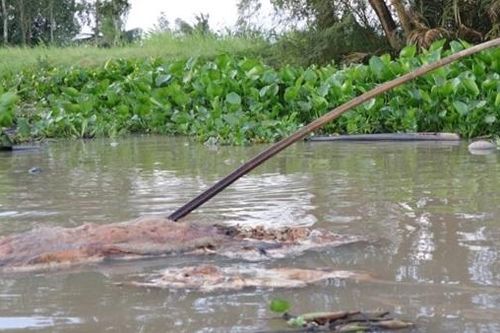 Tìm kiếm 3 nạn nhân bị cuốn vào ống cống khi tắm sông