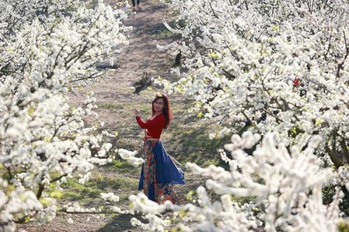 Vẻ đẹp hút hồn của vùng cao Sơn La khi tiết trời vào xuân