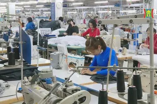 Quyết tâm sản xuất 'đầu xuôi, đuôi lọt' đầu năm mới