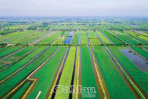 Tái cơ cấu sản xuất theo hướng bền vững