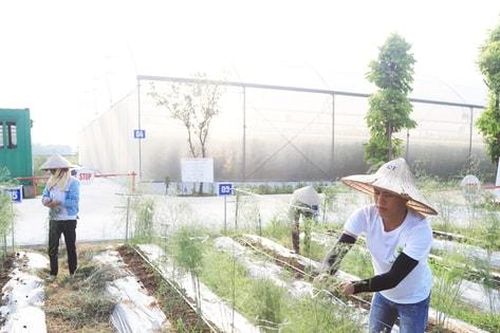 Phát triển nông nghiệp theo hướng sinh thái, bền vững
