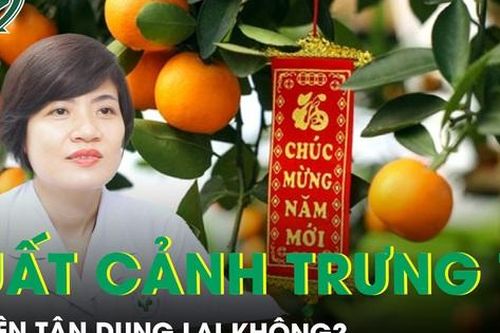 Quất cảnh có ăn được không?
