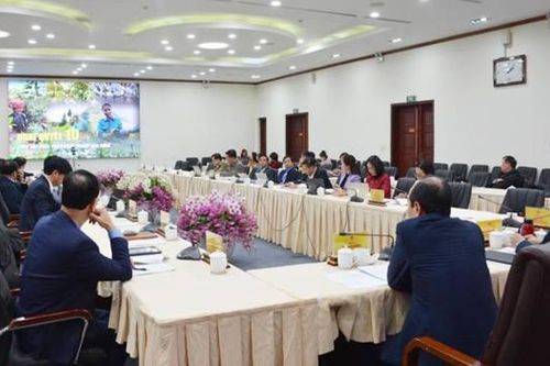 9 Ban Chỉ đạo của Tỉnh ủy Lào Cai ngưng hoạt động