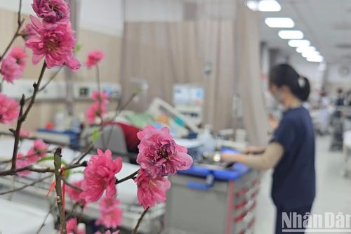 Các bệnh viện tuyến cuối nỗ lực tiếp nhận bệnh nhân cấp cứu gia tăng trong dịp Tết