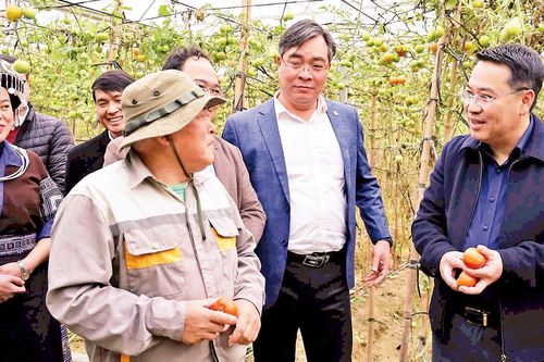 Đổi thay ở vùng cao Mù Cang Chải