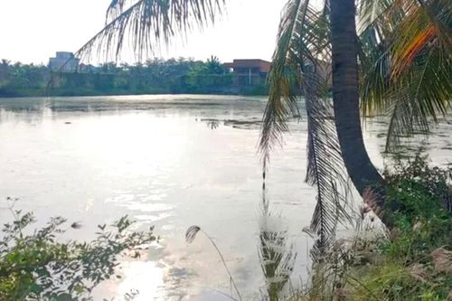 Điều tra nguyên nhân bé gái 5 tuổi tử vong dưới ao ở Long An