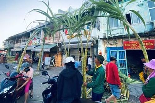 Độc đáo chợ mía vàng cúng 'vía' Ngọc Hoàng ở TP Hồ Chí Minh