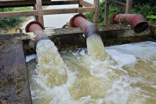 Nghệ An bảo đảm đủ nước tưới dưỡng lúa vụ Xuân