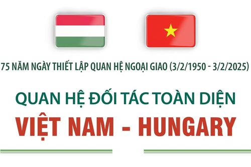 Việt Nam sẵn sàng tham gia tích cực và phối hợp với Đoàn Ngoại giao tại Hungary