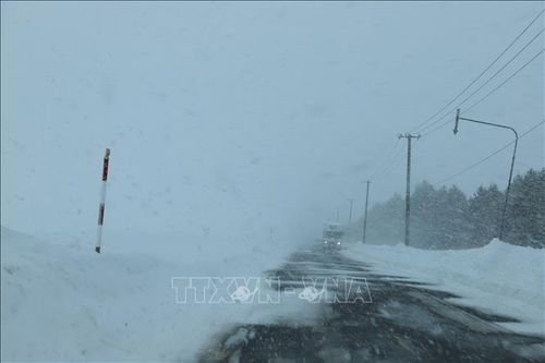 Đợt tuyết rơi kỷ lục tại Hokkaido (Nhật Bản)